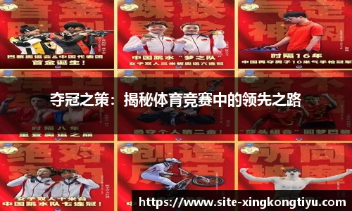 星空体育官网